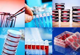 Laboratorio di analisi