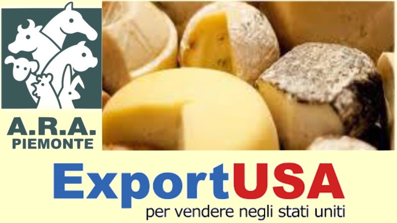 Consulenza esportazione prodotti alimentari