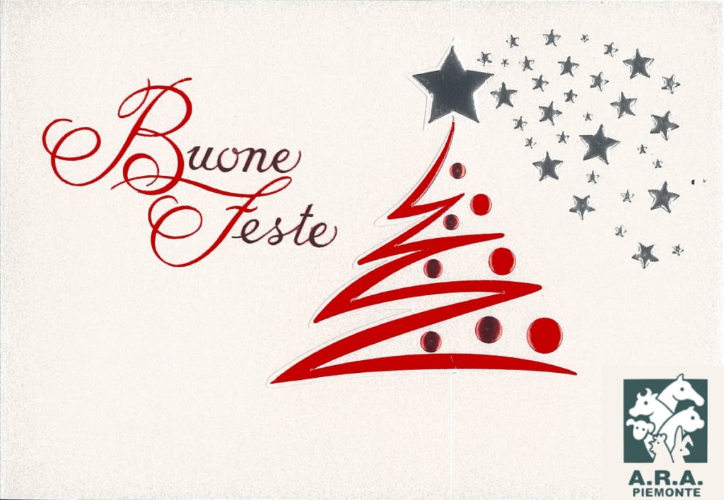 Buon Natale e Felice anno nuovo