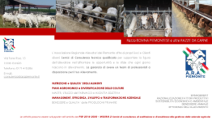 Consulenza-ARAP_BOVINI-PIEMONTESE-E-RAZZE-DA-CARNE