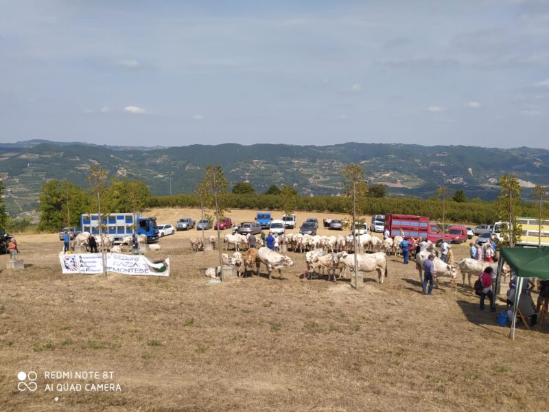 San Giorgio Scarampi 2021 - 1