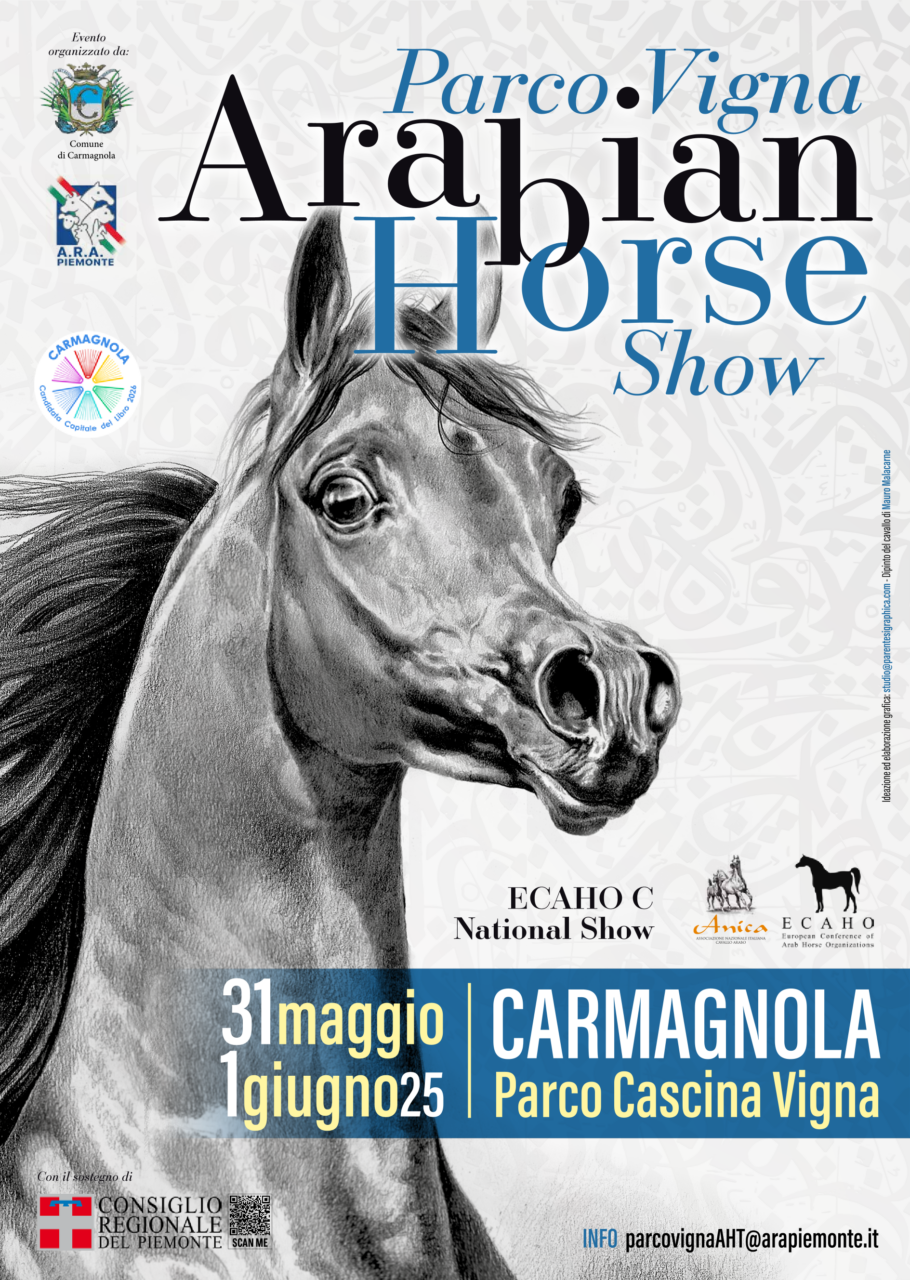 Locandina Cavallo AraboA4