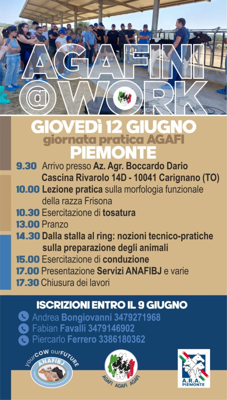 Agafini Work 2025