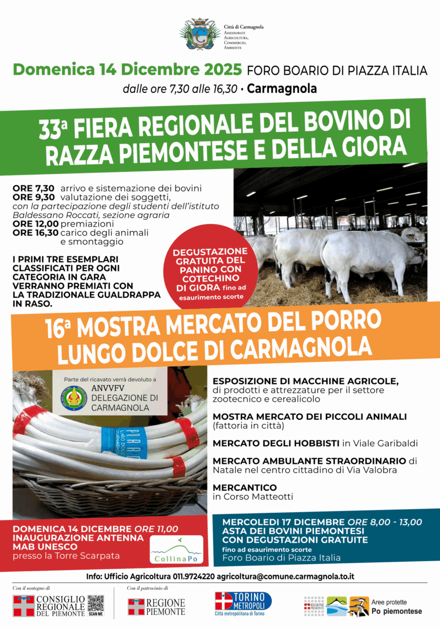 Locandina GIORA 2025