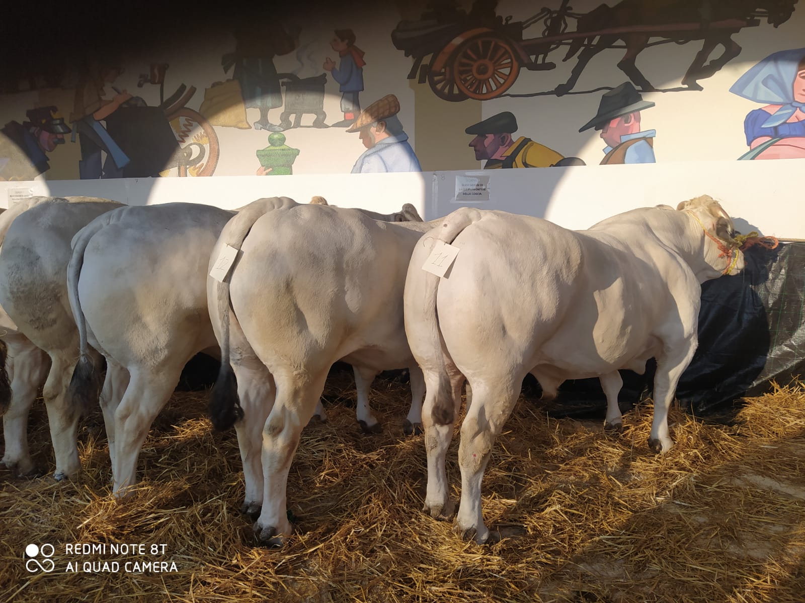 WhatsApp Image 2025-12-10 at 15.27.26 (5)