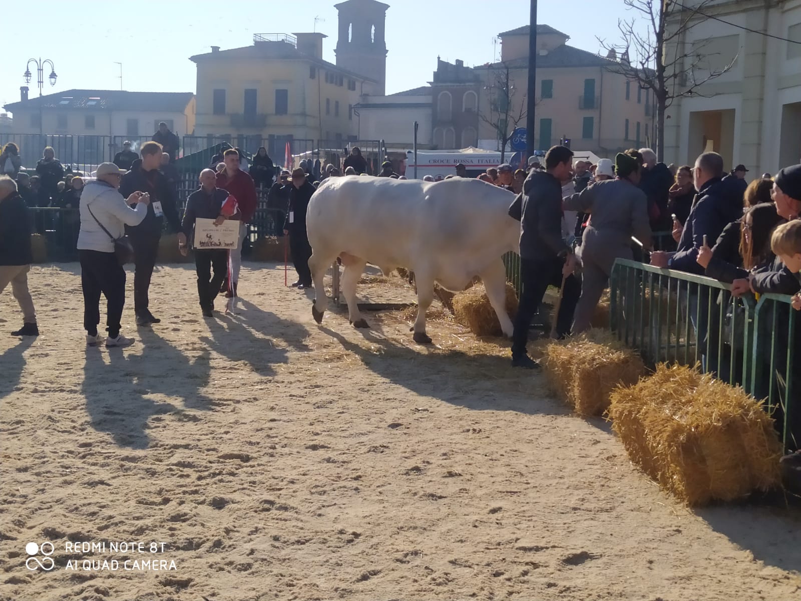 WhatsApp Image 2025-12-10 at 15.27.26