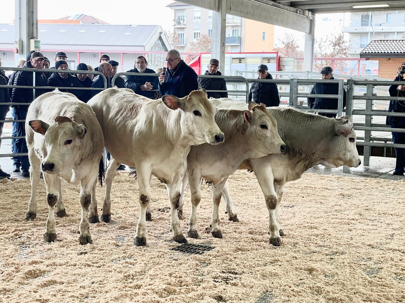 WhatsApp Image 2025-12-17 at 12.36.36