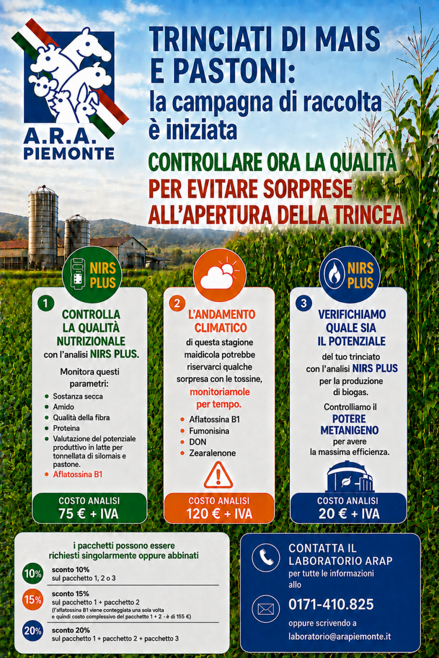 Trinciati di Mais e Pastoni