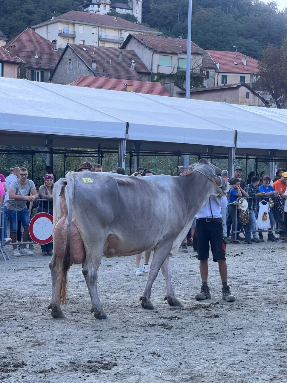 Campionessa Assoluta