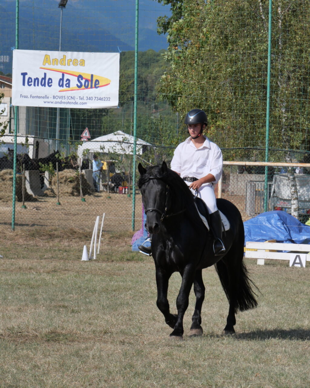 P1000194