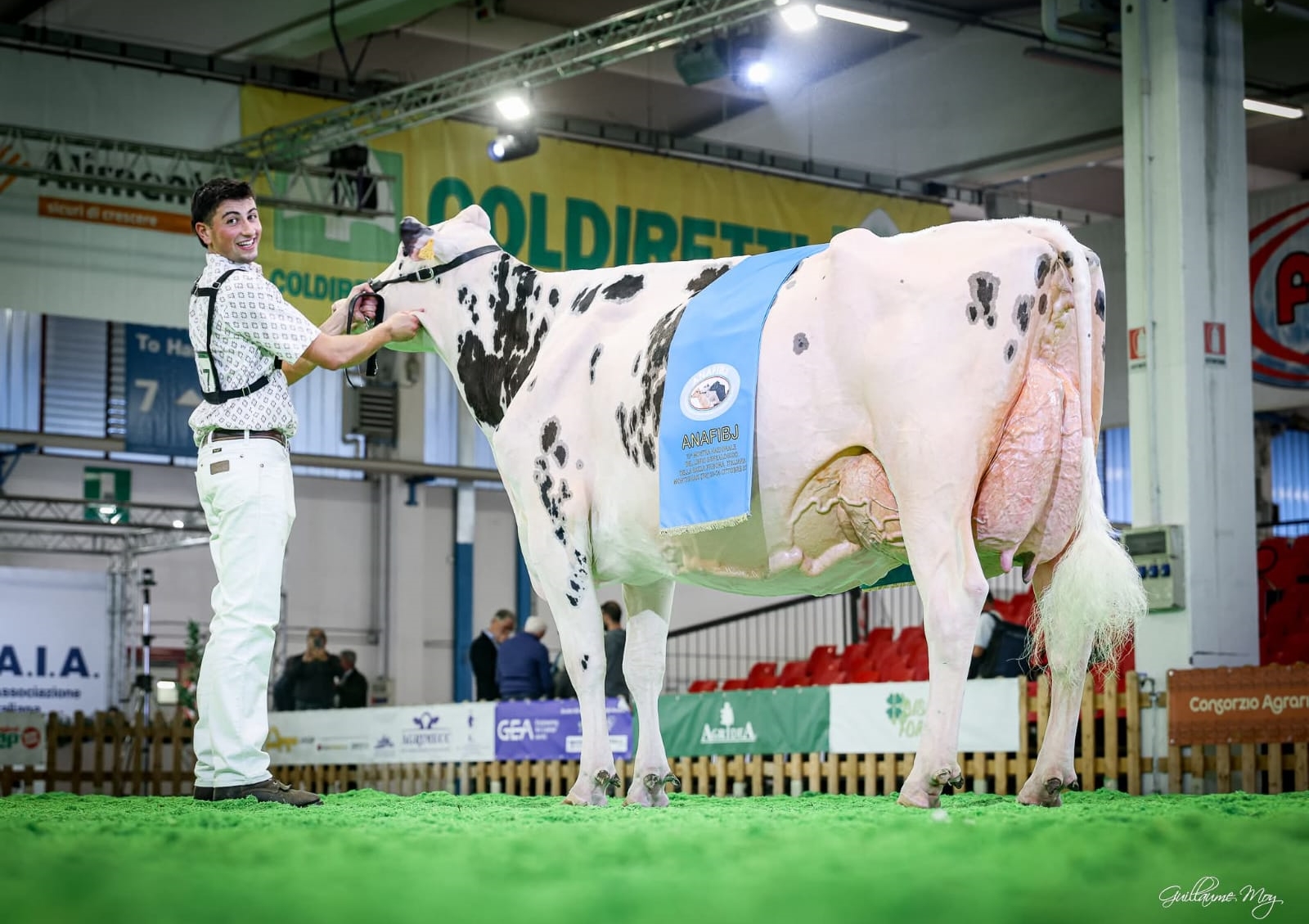 Campionessa Assoluta_Vacche