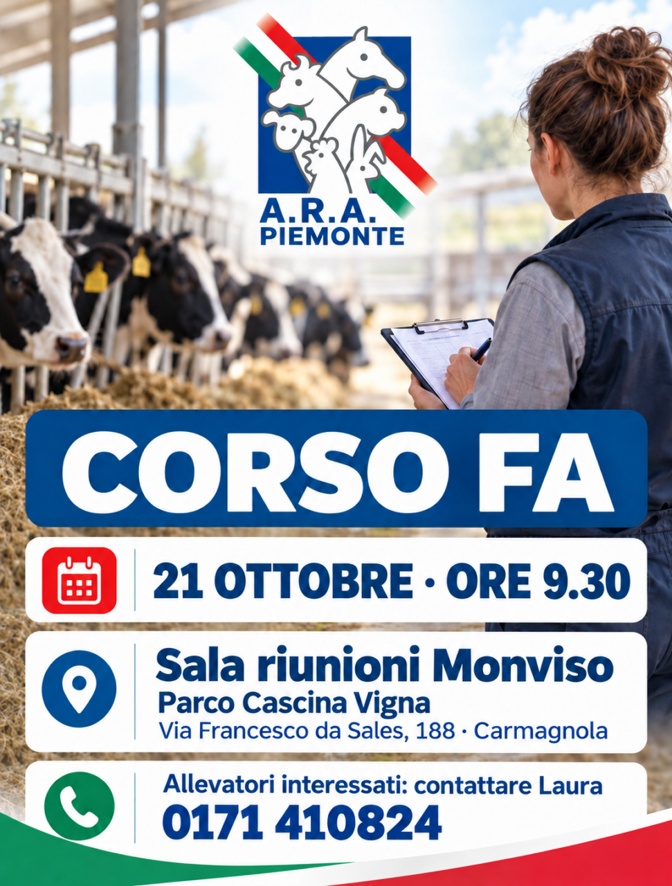 Immagine corso FA