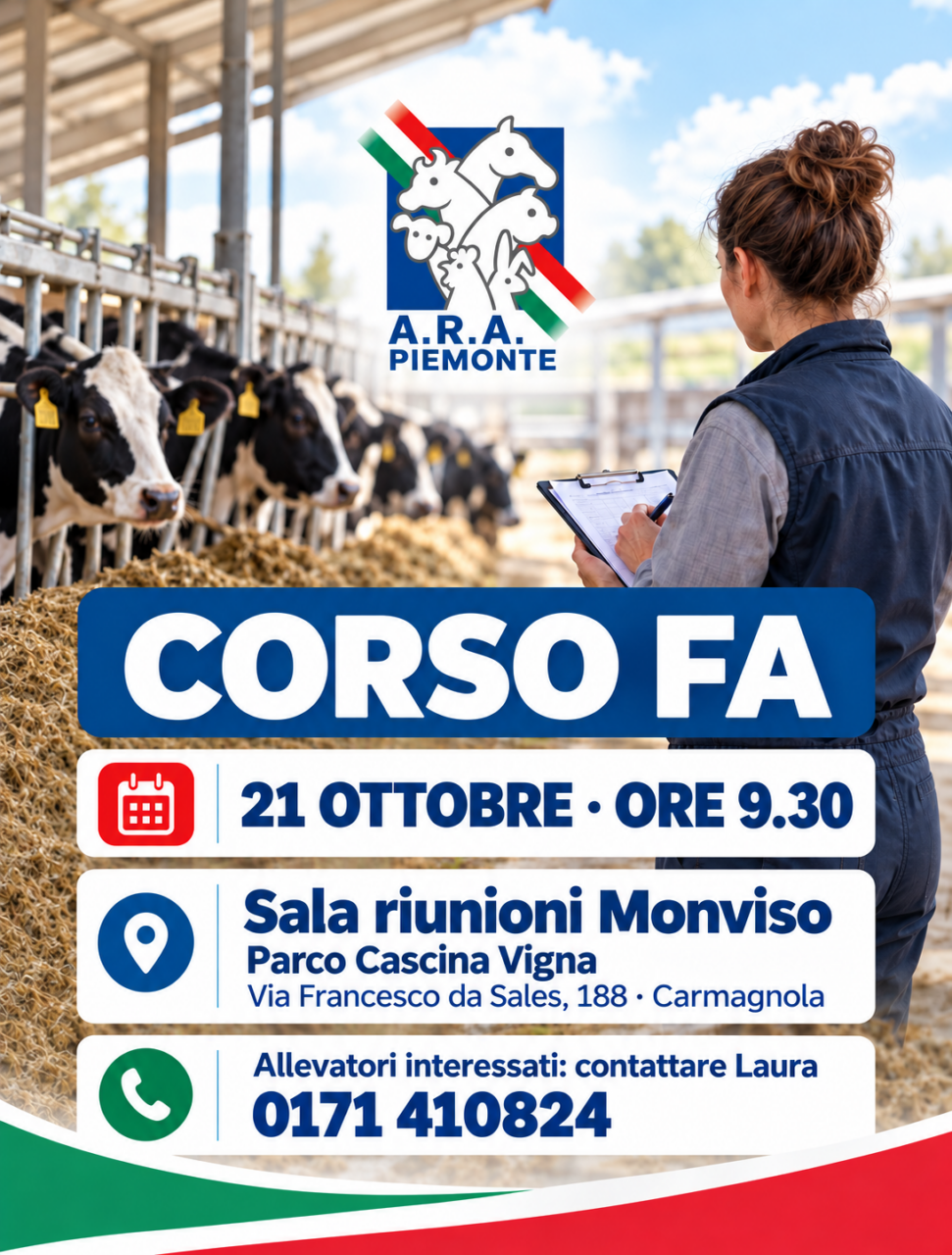 Immagine_corso FA