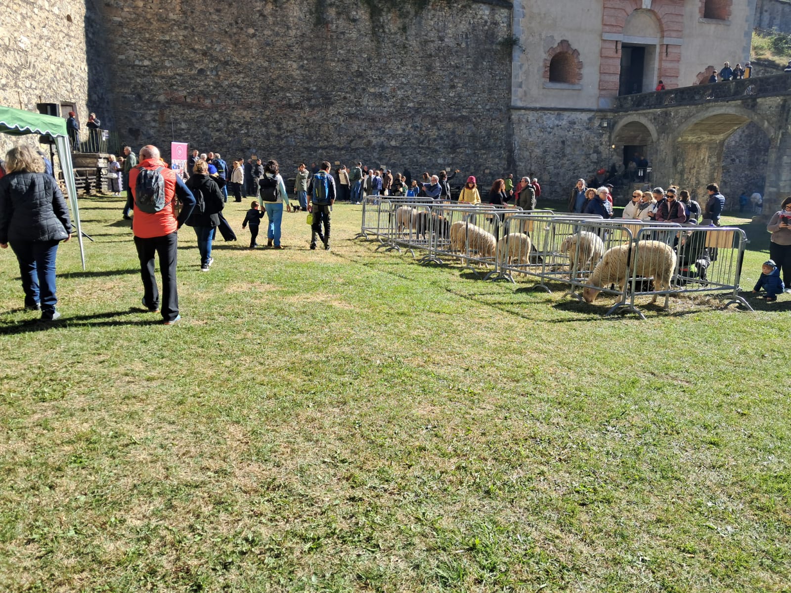 Mostra Vinadio 2026 - 3