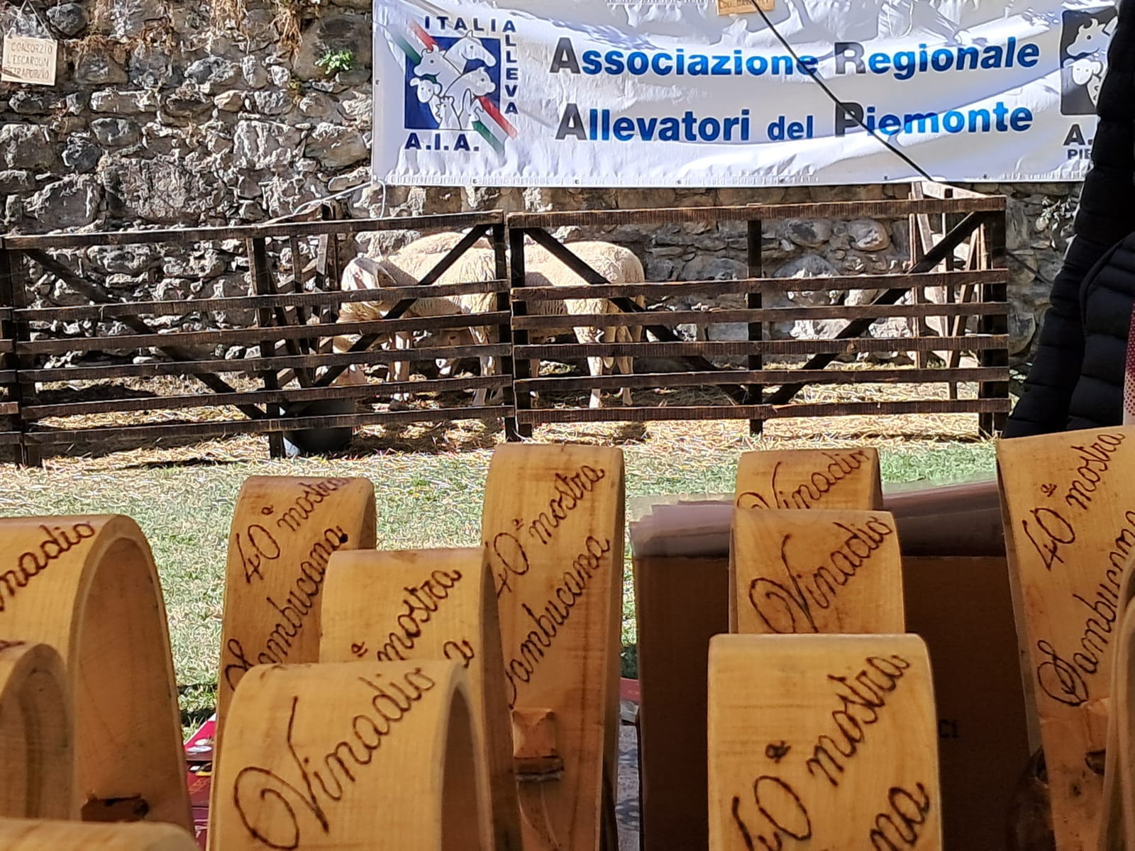 Mostra Vinadio 2026 - 4